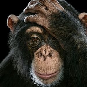 Meet your Posher, Mandy